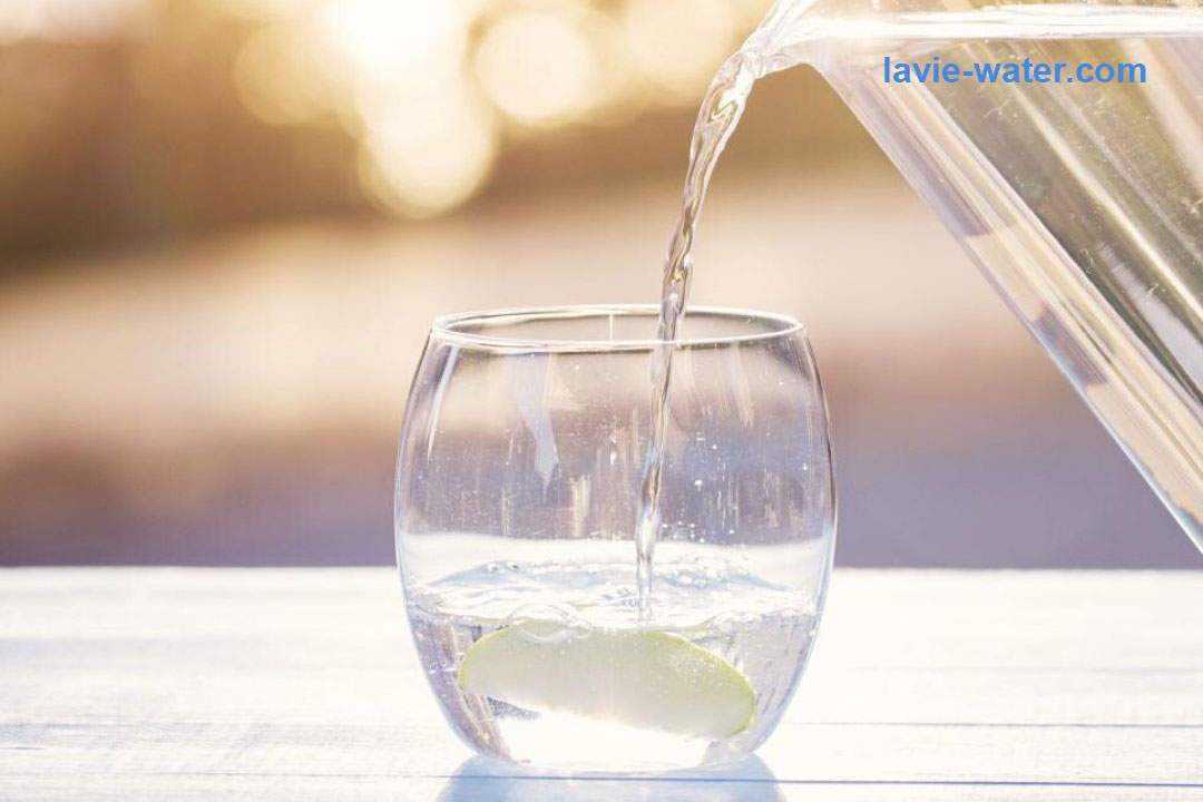 Nên chọn nước khoáng LaVie hay nước tinh khiết PETAL?