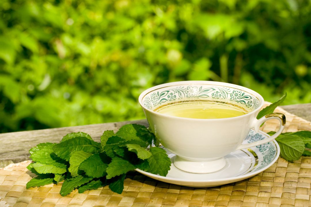 tra-bac-ha Trà bạc hà